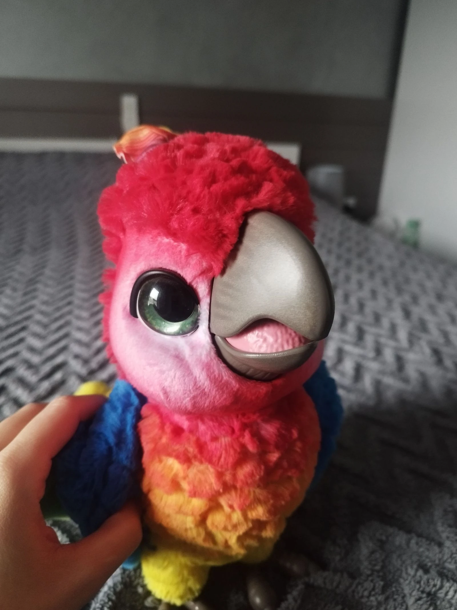 Lolo mi loro molón – photo 3